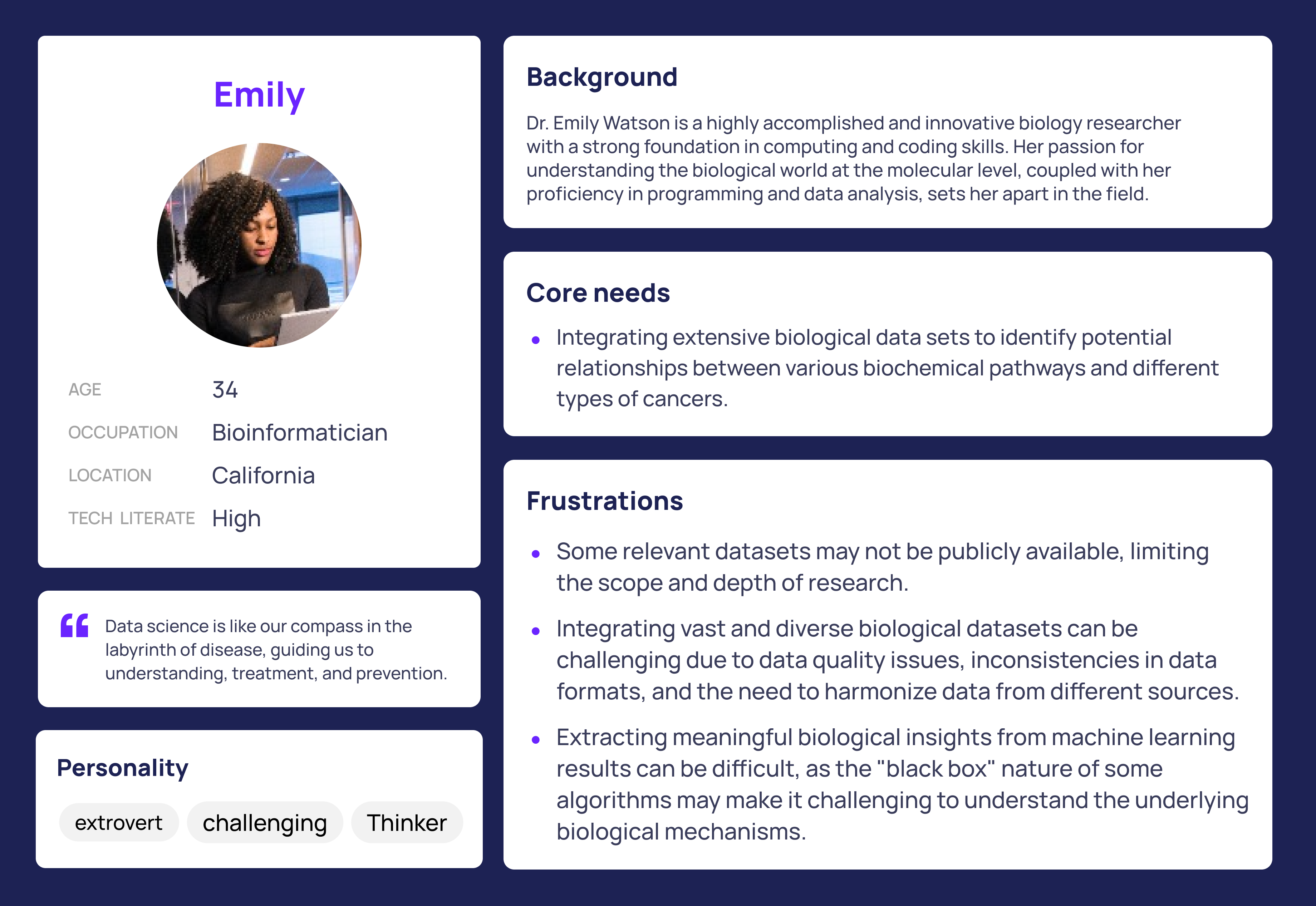 API user persona